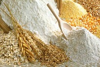Azienda Agricola Il Girasole - Cereali, Farine e Pasta - Pesaro