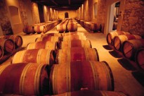 Azienda Agricola Il Girasole - Vino Rosso - vino botti1 - Pesaro